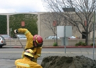 Training- (25)